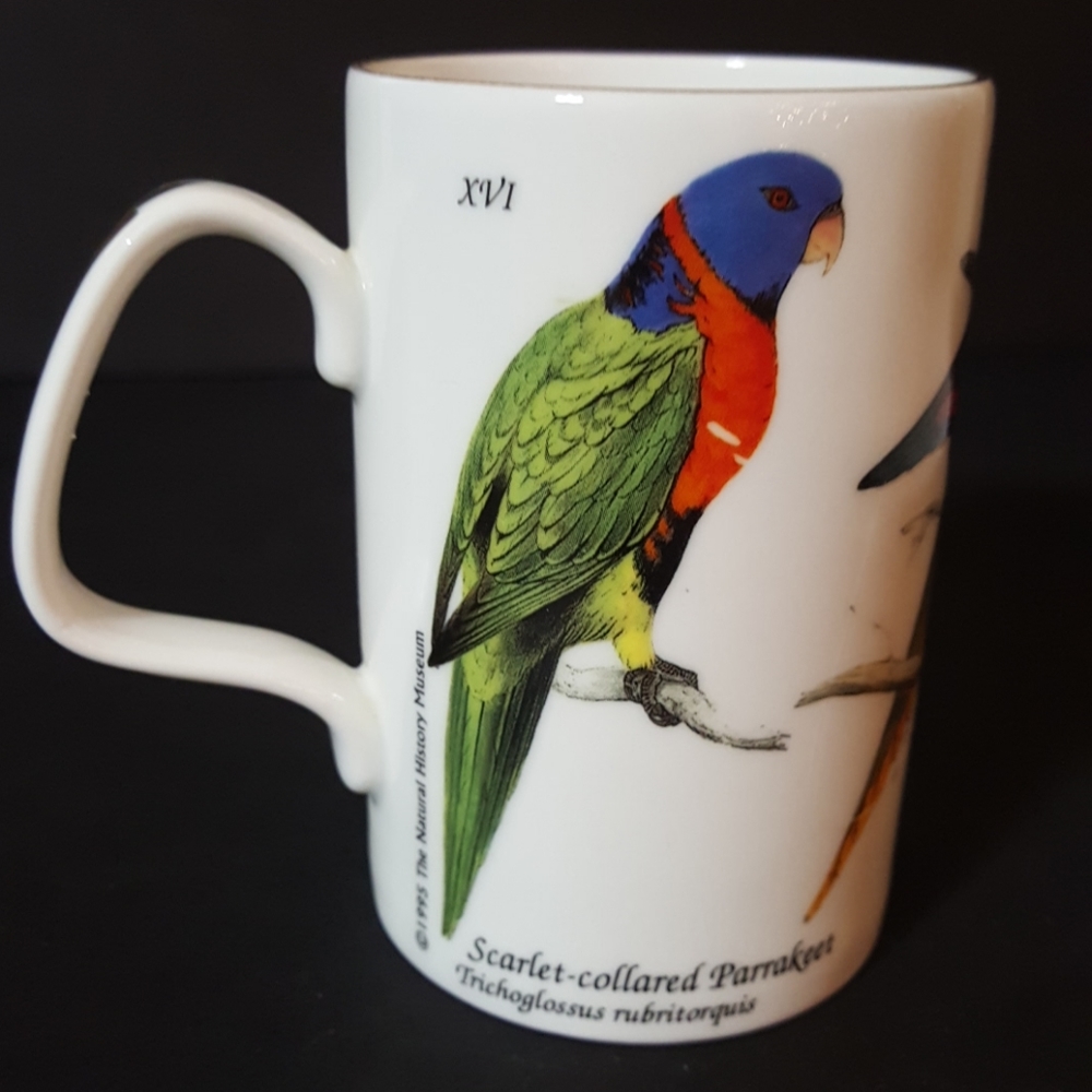 Staffordshire 1995 Made in England Coffee Mug